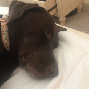 Meet your Posher, Luis